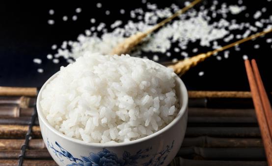 不吃米饭可以减肥吗？不吃米饭