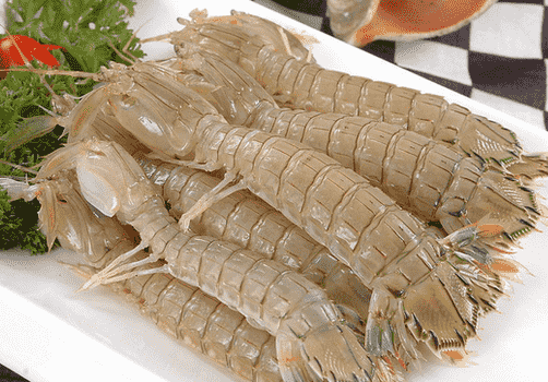 食用皮皮虾的注意事项-皮皮虾的适宜人群