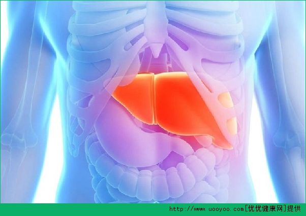 肝脏如何保养？教你生活中的保健方法(1)