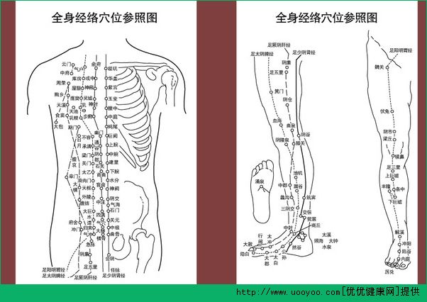 经络穴位怎么背？速记经络穴位方法(2)