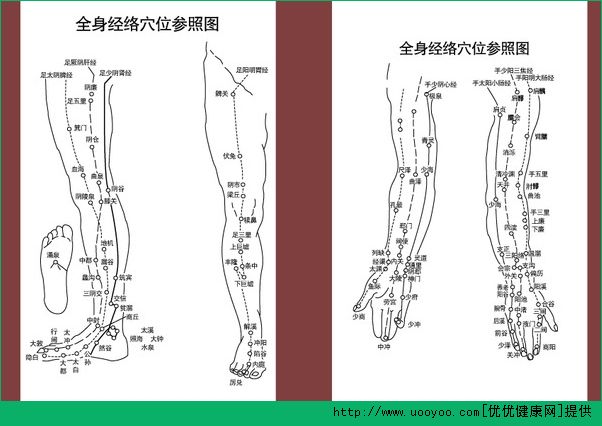 经络穴位怎么背？速记经络穴位方法(4)