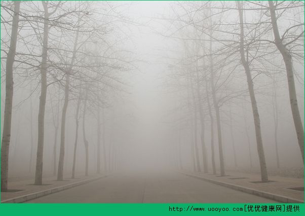 北京雾霾 雾霾天吃什么清肺？[
