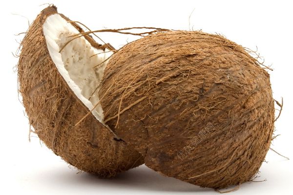 椰子是热性还是凉性？椰子是凉性还是热性？(1)