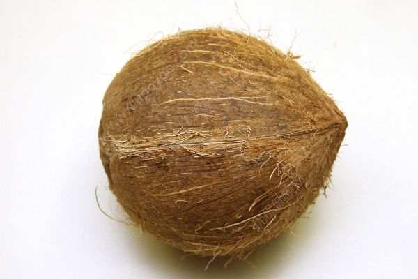 椰子是热性还是凉性？椰子是凉性还是热性？(2)