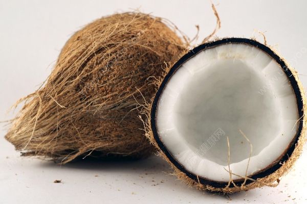 椰子是热性还是凉性？椰子是凉性还是热性？(3)