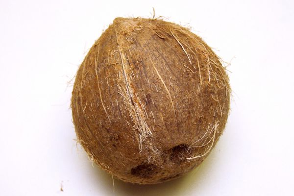 椰子是热性还是凉性？椰子是凉性还是热性？(4)