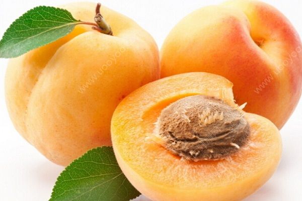 桃子和杏子能一起吃吗？杏子和桃子的区别(3)