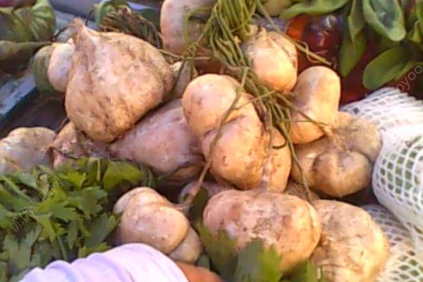 地瓜和红薯的区别是什么？地瓜和红薯是一样的吗？(2)
