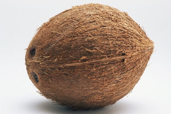 椰子是什么季节的水果？椰子几