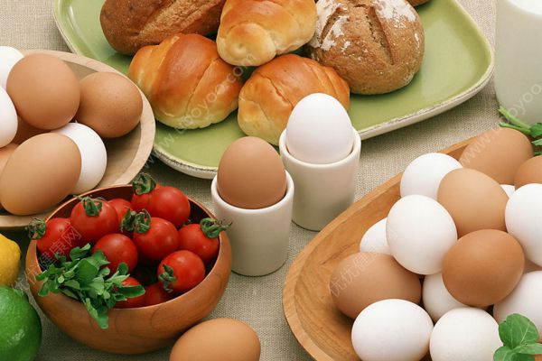一天吃几个鸡蛋好？一天最多吃几个鸡蛋？(1)