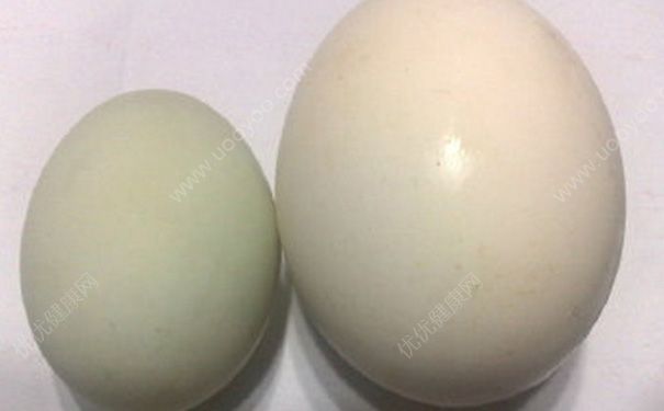 鸭蛋和鹅蛋的区别有哪些？鸭蛋