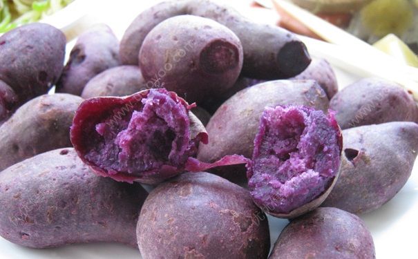 南瓜和紫薯能一起吃吗？南瓜和紫薯的营养价值(3)