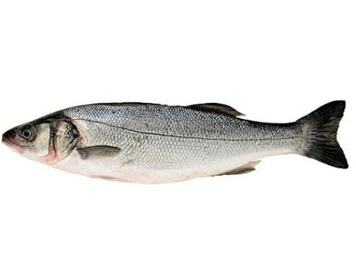 孕妇可以吃鲈鱼吗 含氨基酸蛋白质微量元素补中安胎