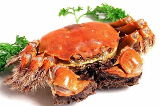 螃蟹的挑选事项有哪些？螃蟹的吃法有哪些？