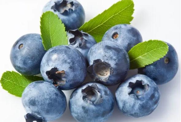 蓝莓的营养价值有哪些？儿童吃