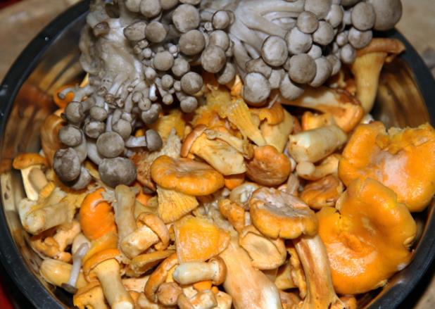 蘑菇可以与芹菜一起吃吗 蘑