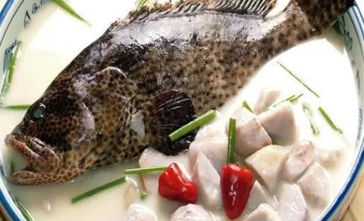 石斑鱼不宜和什么一起吃？石斑