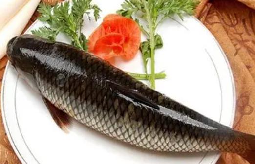 草鱼鱼油有什么功效与作用？草