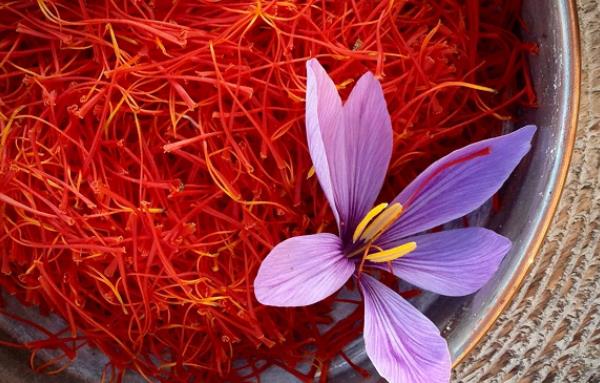 藏红花枸杞泡水喝有什么好处