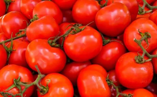 每天吃西红柿真的能美白吗？西