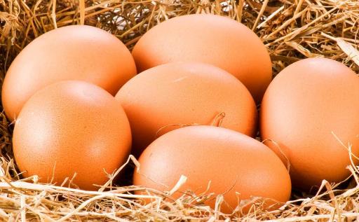 饲料鸡蛋有激素吗？饲料鸡蛋对人体有害吗