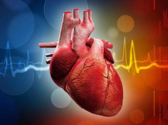 心脏病影响办健康证吗？心脏彩