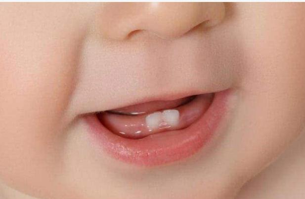 婴儿长牙吃什么好？婴儿多大开始刷牙？