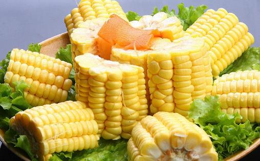 吃玉米面需要注意什么？脯乳期可以吃玉米吗