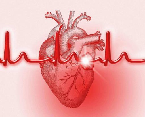 心律失常猝死的前兆是什么？哪