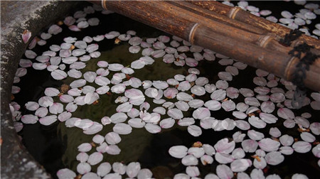 梨花院落溶溶月，柳絮池塘淡淡风。