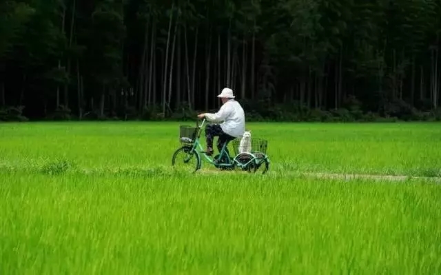 春天来了， 骑单车带你去看看田野。