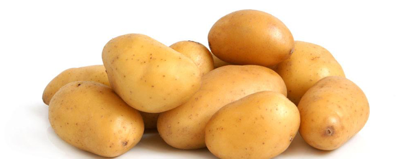 什么时候种土豆，种植马铃薯怎