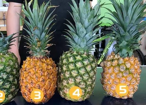 菠萝和凤梨有什么区别 凤梨和菠萝哪个好吃
