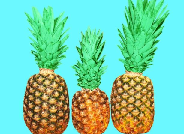 菠萝放冰箱变苦怎么回事 致细菌滋生影响身体健康