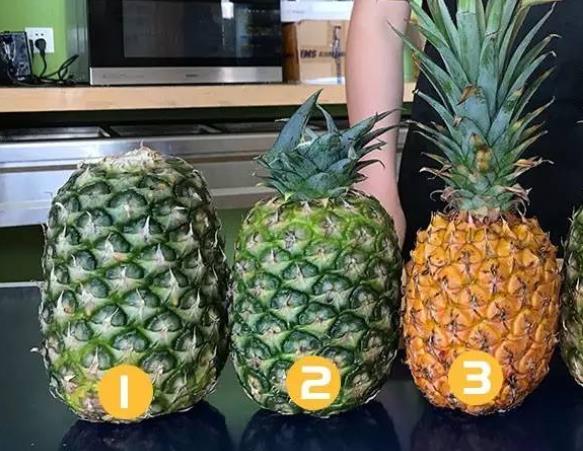 凤梨和菠萝的区别 同物种,价格外观口感等差异