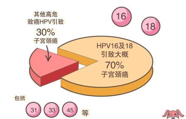 感冒能打九价疫苗吗 打九价