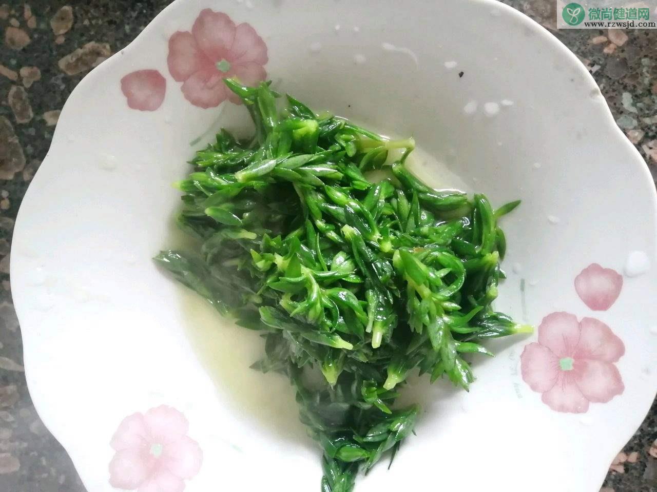 垂盆草有什么作用（垂盆草的功效与作用） 植物百科 第4张