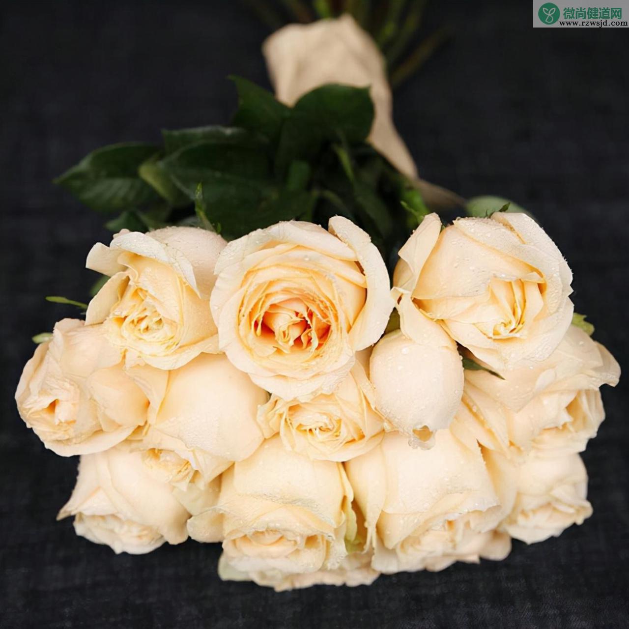 香槟色玫瑰花代表什么意思（香槟色玫瑰的花语和寓意） 植物百科 第1张