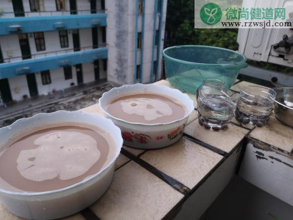 如何种碗莲（碗莲的种植方法水培） 绿植养护 第8张