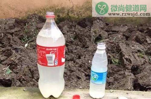 水培植物营养液的配制方法 养花知识 第3张