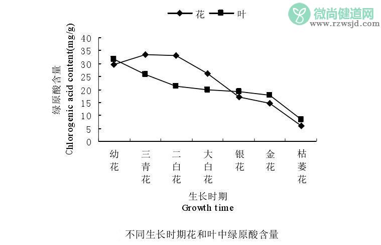 金银花什么时候开花（金银花的花期和开花规律） 养花知识 第2张