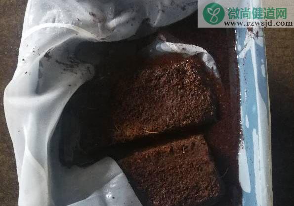 椰砖怎么使用（椰砖的正确用法） 养花知识 第2张