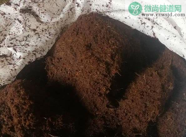 椰砖怎么使用（椰砖的正确用法