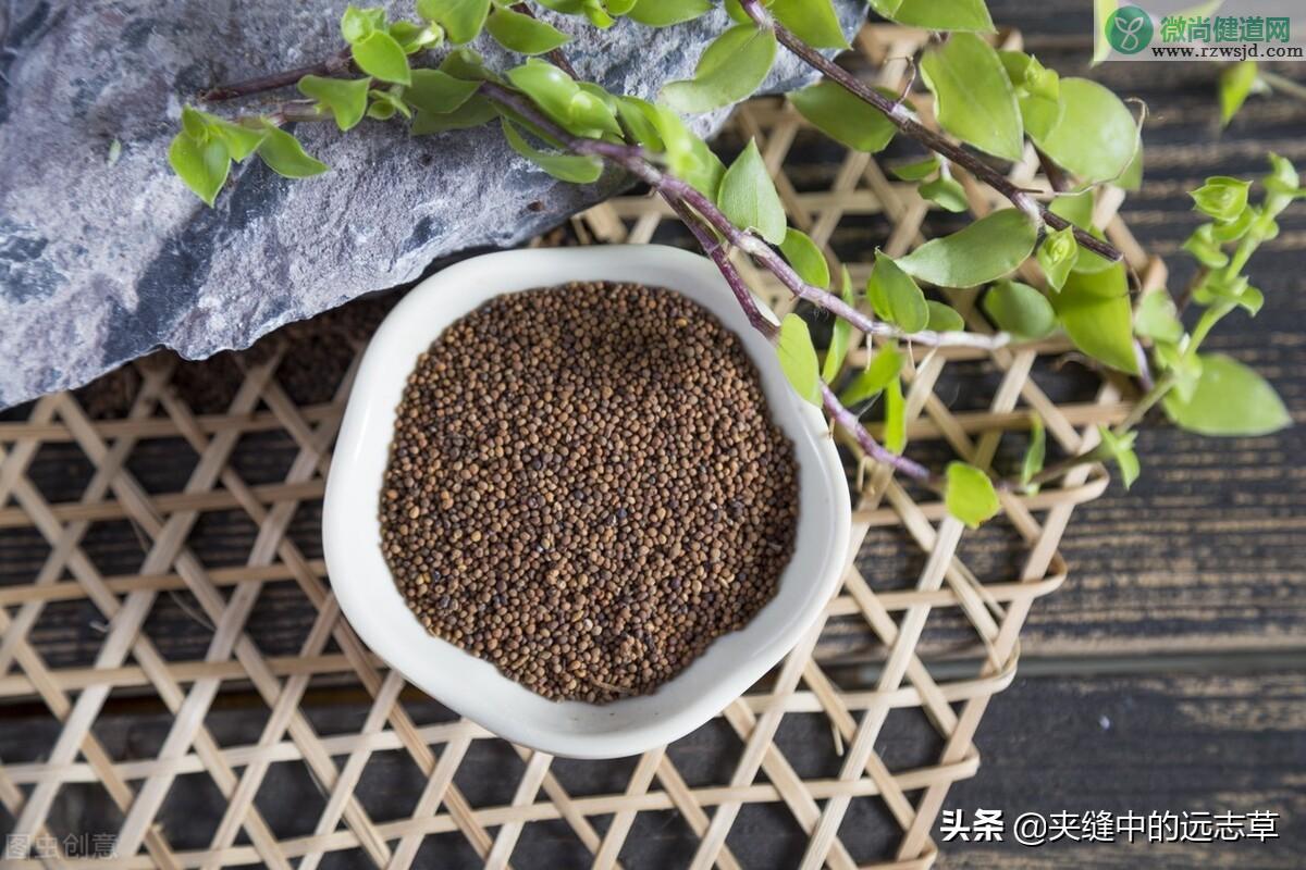 仙茅的功效与作用（仙茅的药用价值） 植物与健康 第4张