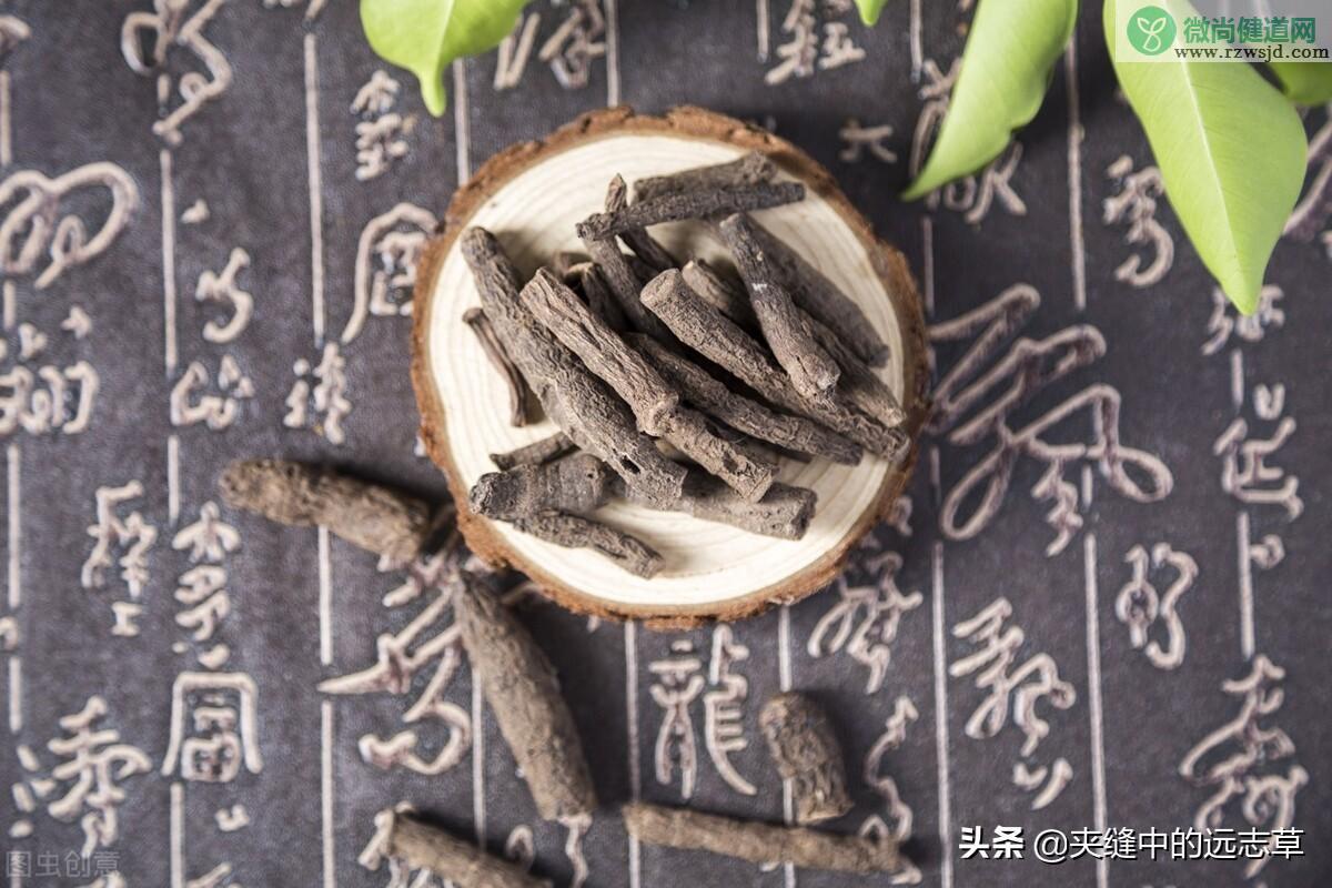 仙茅的功效与作用（仙茅的药用价值） 植物与健康 第2张