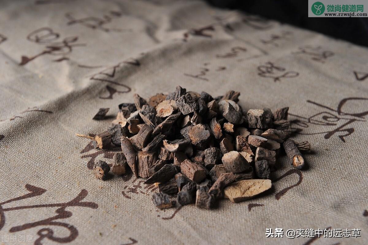 仙茅的功效与作用（仙茅的药用价值） 植物与健康 第6张