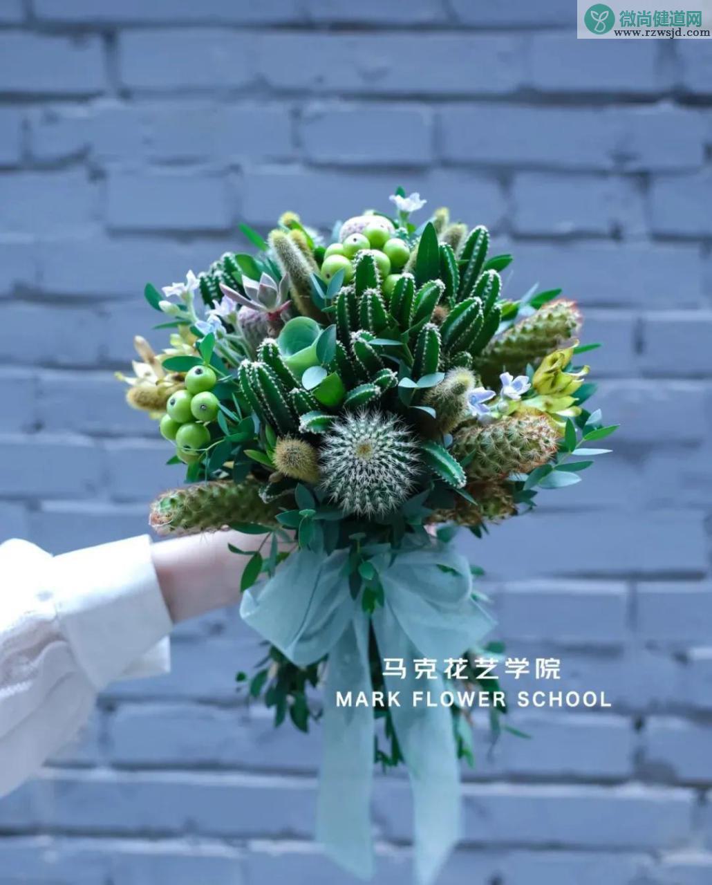 仙人掌是花吗，属于什么科