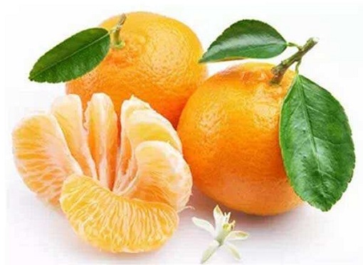 吃橘子每天不要超过三个了！