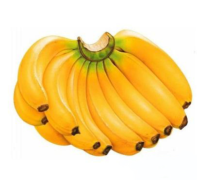 警惕两种香蕉切记不可食用