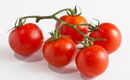 吃番茄有禁忌 不宜和黄瓜同